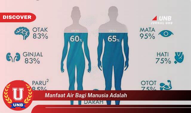 Temukan 10 Manfaat Air Bagi Manusia, Panduan Lengkap untuk Kesehatan & Kehidupan