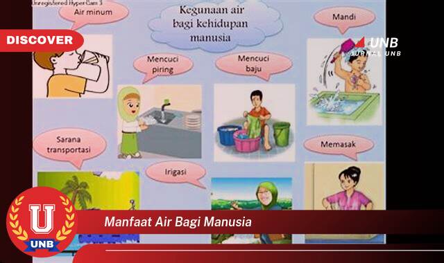 Temukan 8 Manfaat Air Bagi Manusia, Panduan Lengkap untuk Kesehatan & Kehidupan Temukan 8 Manfaat Air Bagi Manusia, Panduan Lengkap untuk Kesehatan & Kehidupan