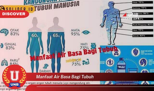 Inilah 8 Manfaat manfaat air basa bagi tubuh yang Wajib Kamu Intip