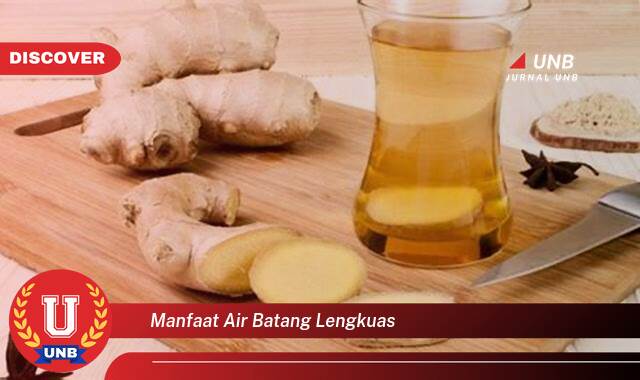 Ketahui 10 Manfaat manfaat air batang lengkuas yang Wajib Kamu Intip