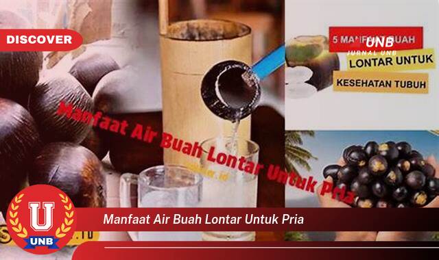 Temukan 9 Manfaat Air Buah Lontar untuk Pria, Meningkatkan Stamina dan Vitalitas