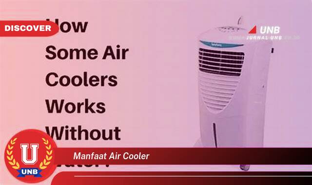 Ketahui 8 Manfaat Air Cooler yang Wajib Kamu Ketahui
