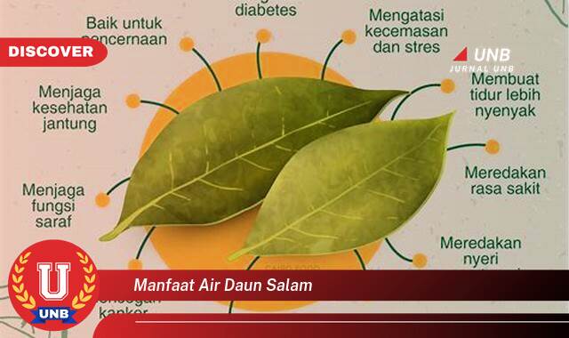 Temukan 10 Manfaat Air Daun Salam untuk Kesehatan Tubuh Anda Secara Alami