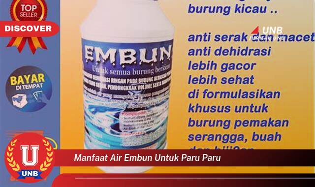 Temukan 9 Manfaat Air Embun untuk Paru,Paru, Kesehatan Pernapasan yang Alami