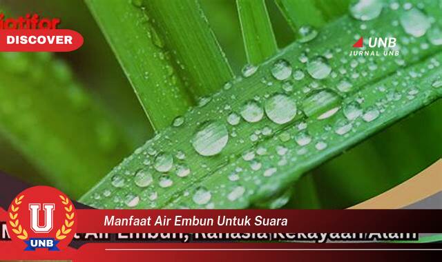 Ketahui 9 Manfaat manfaat air embun untuk suara yang Bikin Kamu Penasaran