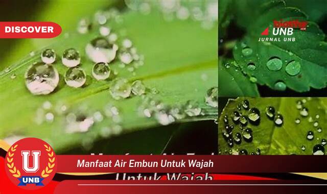 Inilah 8 Manfaat manfaat air embun untuk wajah yang Wajib kamu ketahui