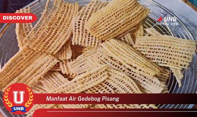 Temukan 10 Manfaat Air Gedebog Pisang untuk Kesehatan Anda, Dari Menurunkan Gula Darah Hingga Mengatasi Batu Ginjal Temukan 10 Manfaat Air Gedebog Pisang untuk Kesehatan Anda, Dari Menurunkan Gula Darah Hingga Mengatasi Batu Ginjal