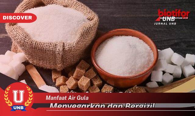 Temukan 8 Manfaat Air Gula, Sumber Energi Instan & Efektif untuk Kebutuhan Anda Temukan 8 Manfaat Air Gula, Sumber Energi Instan & Efektif untuk Kebutuhan Anda