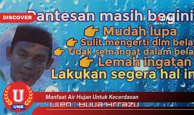 Inilah 8 Manfaat air hujan untuk kecerdasan yang Jarang Diketahui