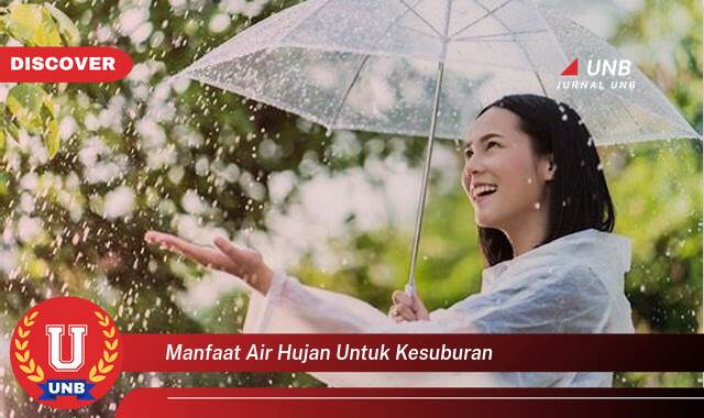 Inilah 8 Manfaat manfaat air hujan untuk kesuburan yang Jarang Diketahui
