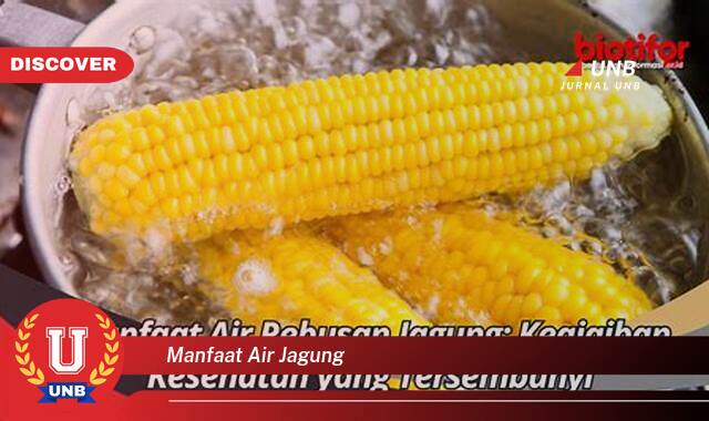 Ketahui 8 Manfaat manfaat air jagung yang Wajib kamu ketahui