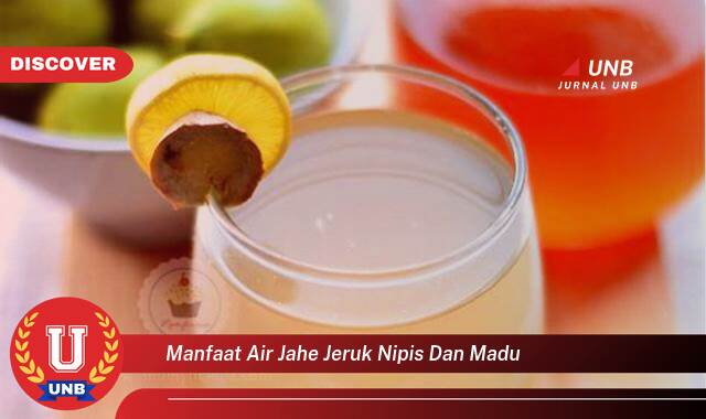 Ketahui 10 Manfaat manfaat air jahe jeruk nipis dan madu yang Jarang Diketahui