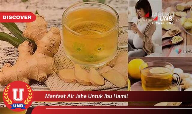 Inilah 9 Manfaat manfaat air jahe untuk ibu hamil yang Wajib Kamu Intip