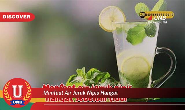 Temukan 9 Manfaat Air Jeruk Nipis Hangat untuk Kesehatan, Kecantikan, dan Diet Temukan 9 Manfaat Air Jeruk Nipis Hangat untuk Kesehatan, Kecantikan, dan Diet