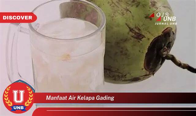 Inilah 9 Manfaat manfaat air kelapa gading yang Wajib kamu ketahui