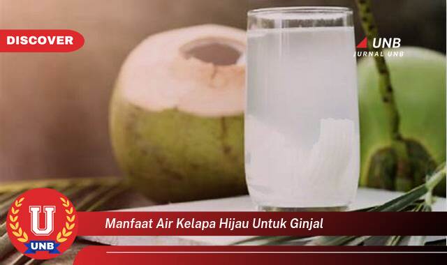 Inilah 9 Manfaat manfaat air kelapa hijau untuk ginjal yang Jarang Diketahui