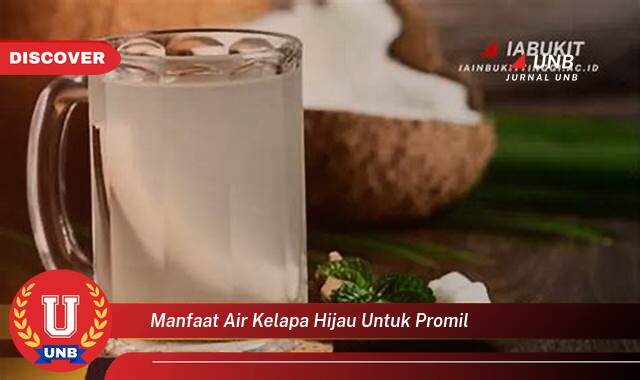Temukan 9 Manfaat manfaat air kelapa hijau untuk promil yang Wajib Kamu Intip