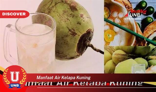 Temukan 9 Manfaat Air Kelapa Kuning yang Wajib Kamu Ketahui