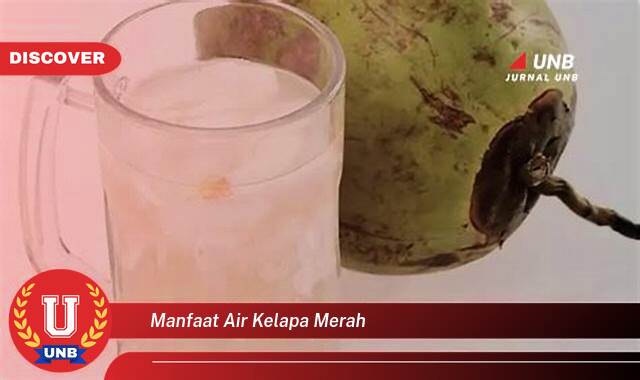 Temukan 10 Manfaat Air Kelapa Merah untuk Kesehatan Tubuh Anda