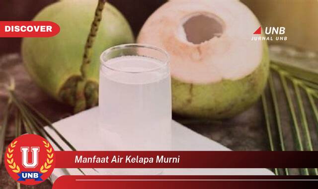 Temukan 10 Manfaat Air Kelapa Murni untuk Kesehatan Tubuh Anda