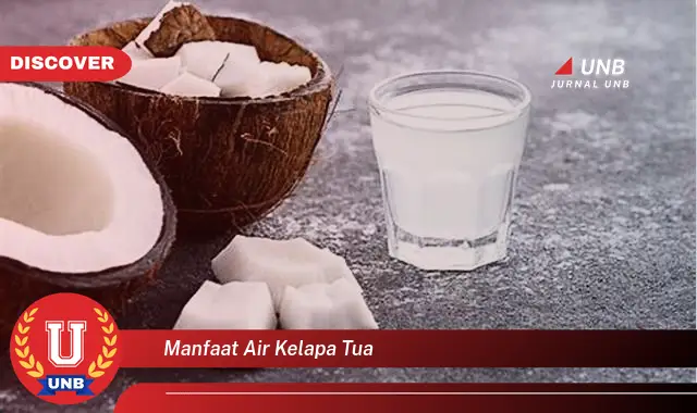 manfaat air kelapa tua