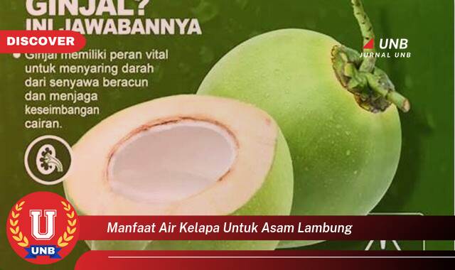 Temukan 10 Manfaat Air Kelapa untuk Asam Lambung, Redakan Maag dan Kembung Secara Alami