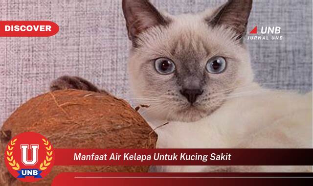 Ketahui 8 Manfaat manfaat air kelapa untuk kucing sakit yang Wajib kamu ketahui