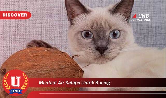 Temukan 8 Manfaat Air Kelapa untuk Kucing, Kesehatan, Nutrisi, dan Keamanan