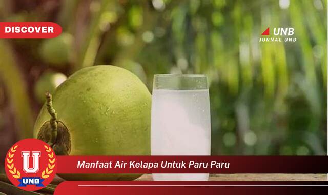 Temukan 9 Manfaat manfaat air kelapa untuk paru paru yang Jarang Diketahui