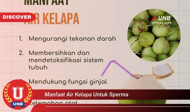 Ketahui 10 Manfaat manfaat air kelapa untuk sperma yang tidak Semua Orang Tau