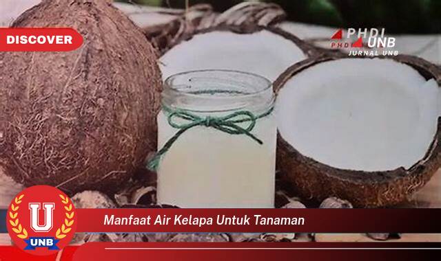 Inilah 10 Manfaat Air Kelapa untuk Tanaman yang Jarang Diketahui