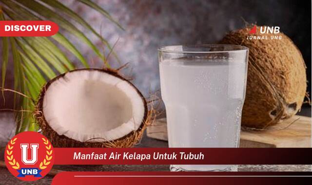 Temukan 8 Manfaat Air Kelapa untuk Tubuh, Segudang Khasiat untuk Kesehatan Anda