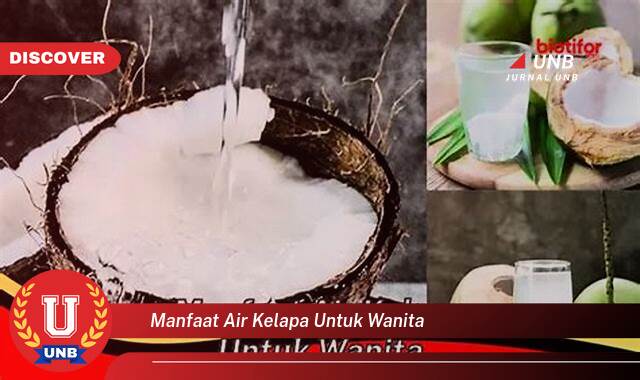 Temukan 8 Manfaat Air Kelapa untuk Wanita, Kesehatan, Kecantikan, dan Kehamilan Temukan 8 Manfaat Air Kelapa untuk Wanita, Kesehatan, Kecantikan, dan Kehamilan
