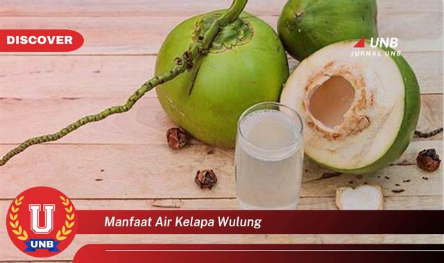 Temukan 8 Manfaat Air Kelapa Wulung untuk Kesehatan Tubuh Anda