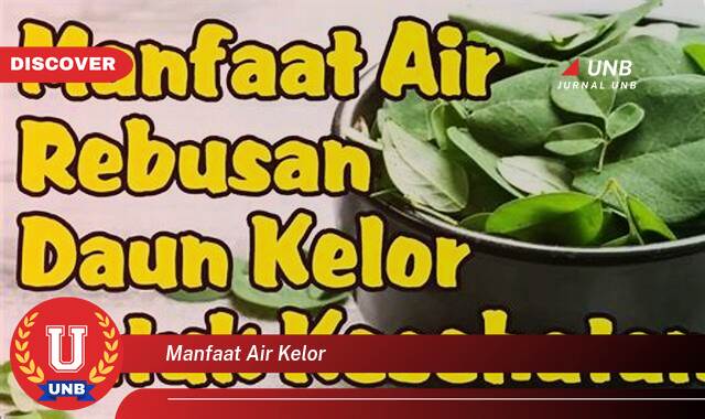 10 Manfaat manfaat air kelor yang tidak Semua Orang Tau