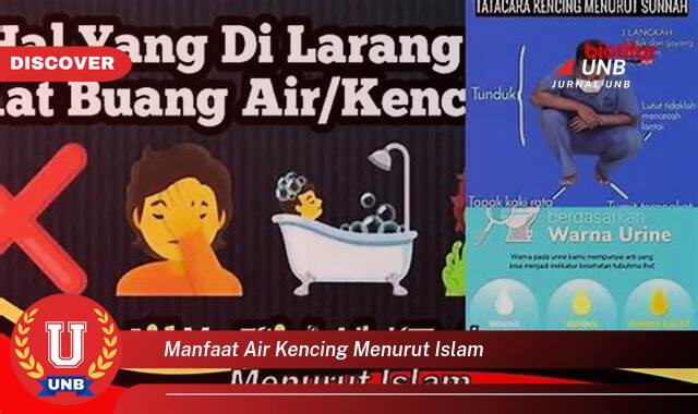 Mitos dan Fakta, Menjelajahi Hukum dan Pandangan Islam tentang Manfaat Air Kencing