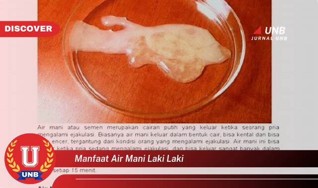 Temukan 8 Manfaat Air Mani Laki,laki untuk Kesehatan Pria