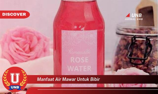 Ketahui 8 Manfaat manfaat air mawar untuk bibir yang tidak Semua Orang Tau