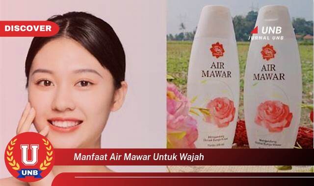 Temukan 7 Manfaat Air Mawar untuk Wajah, Kulit Cerah, Lembap, dan Sehat Alami Temukan 7 Manfaat Air Mawar untuk Wajah, Kulit Cerah, Lembap, dan Sehat Alami