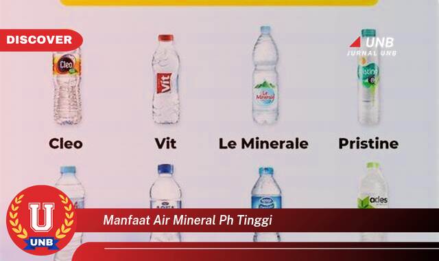 Temukan 8 Manfaat Air Mineral pH Tinggi untuk Kesehatan Tubuh Anda Temukan 8 Manfaat Air Mineral pH Tinggi untuk Kesehatan Tubuh Anda