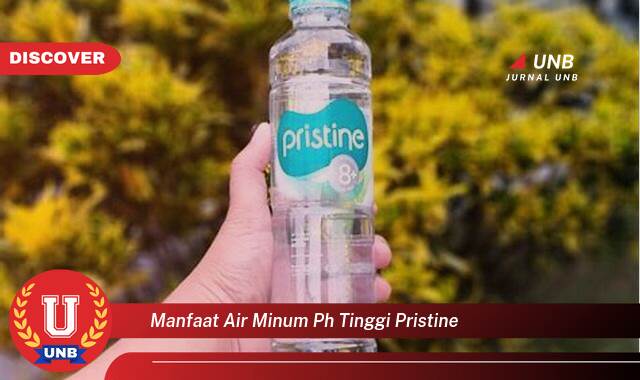 Temukan 8 Manfaat Air Minum pH Tinggi Pristine untuk Kesehatan Tubuh Anda Temukan 8 Manfaat Air Minum pH Tinggi Pristine untuk Kesehatan Tubuh Anda