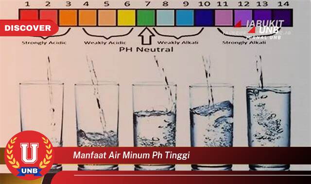 Temukan 8 Manfaat Air Minum pH Tinggi untuk Kesehatan Tubuh Anda