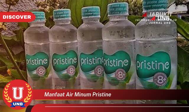 Temukan 9 Manfaat Air Minum Pristine untuk Kesehatan Tubuh Anda