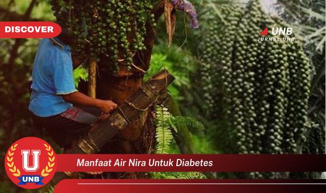9 Manfaat Air Nira untuk Diabetes yang Wajib Kamu Intip