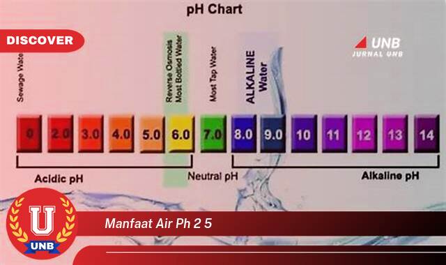 Ketahui 8 Manfaat manfaat air ph 2 5 yang tidak Semua Orang Tau