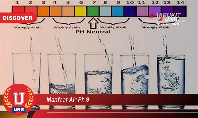 Inilah 9 Manfaat Air pH 9 yang Tak Semua Orang Tahu