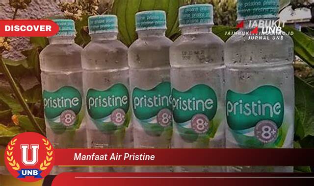 Temukan 9 Manfaat Air Pristine untuk Kesehatan Tubuh Anda Temukan 9 Manfaat Air Pristine untuk Kesehatan Tubuh Anda