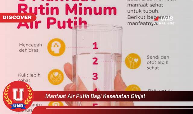 Inilah 10 Manfaat Air Putih bagi Ginjal yang Wajib Kamu Intip