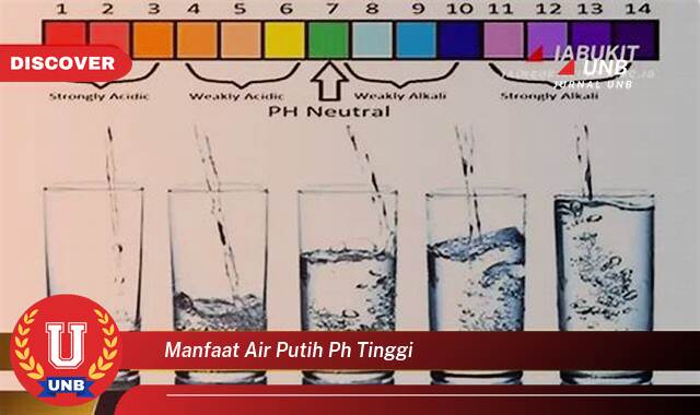 Inilah 10 Manfaat manfaat air putih ph tinggi yang tidak Semua Orang Tau