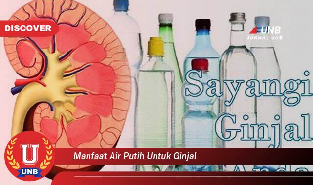 Ketahui 8 Manfaat manfaat air putih untuk ginjal yang Wajib Kamu Intip